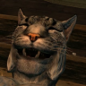 Khajiit228